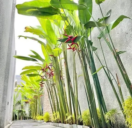 Livin Sanur Villa Denpasar