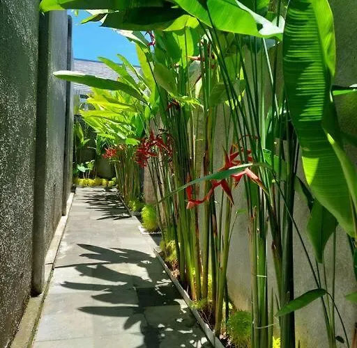 Villa Livin Sanur Denpasar